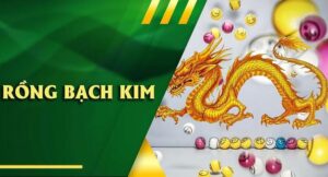 rồng bạch kim 100